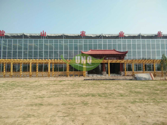 陽光板溫室餐廳