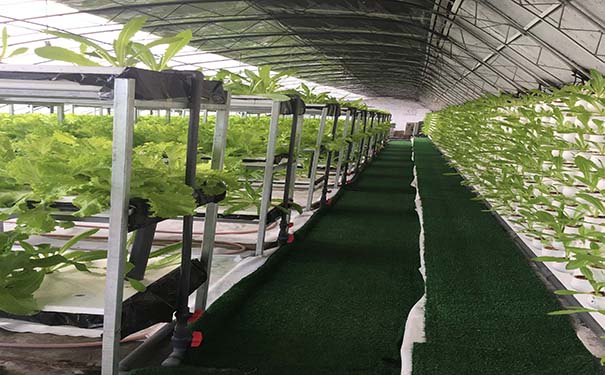 安裝施工后四層陽光板