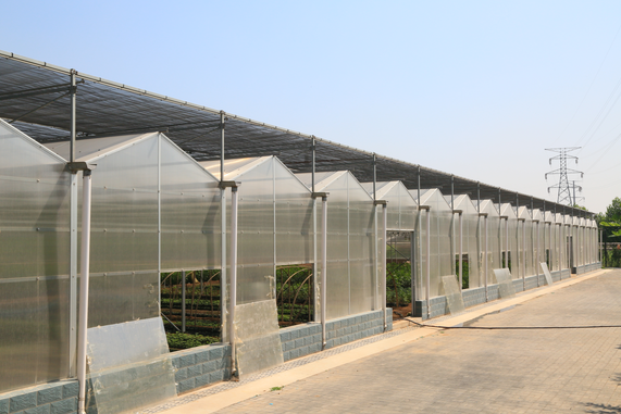 河北優尼科溫室大棚工程圖片